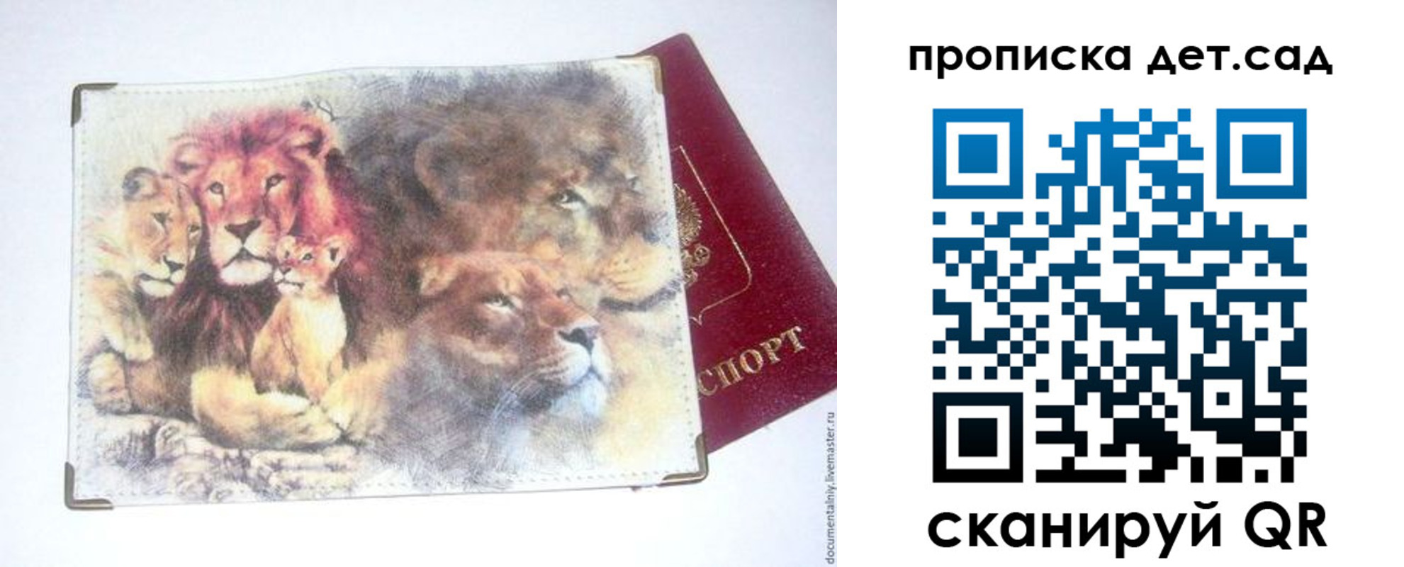 прописка регистрация в Опочке